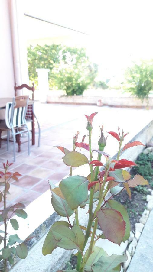 Country House Kefalonia Dhorizáta Buitenkant foto